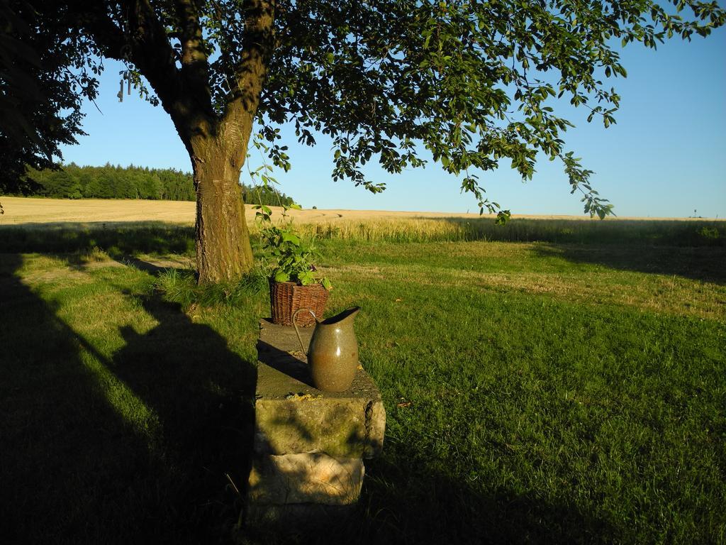 Alte Scheune Rietzschelhof Muglitztal Bagian luar foto