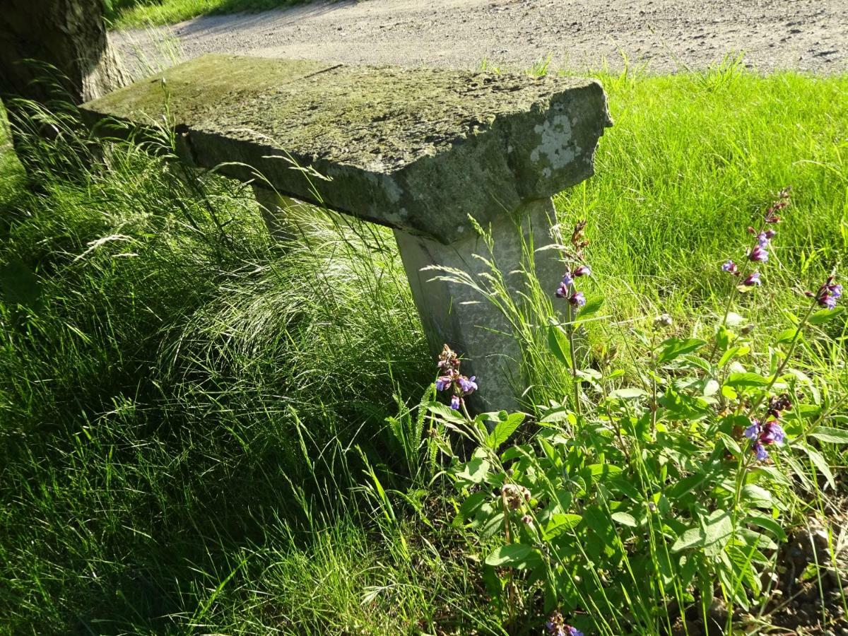 Alte Scheune Rietzschelhof Muglitztal Bagian luar foto